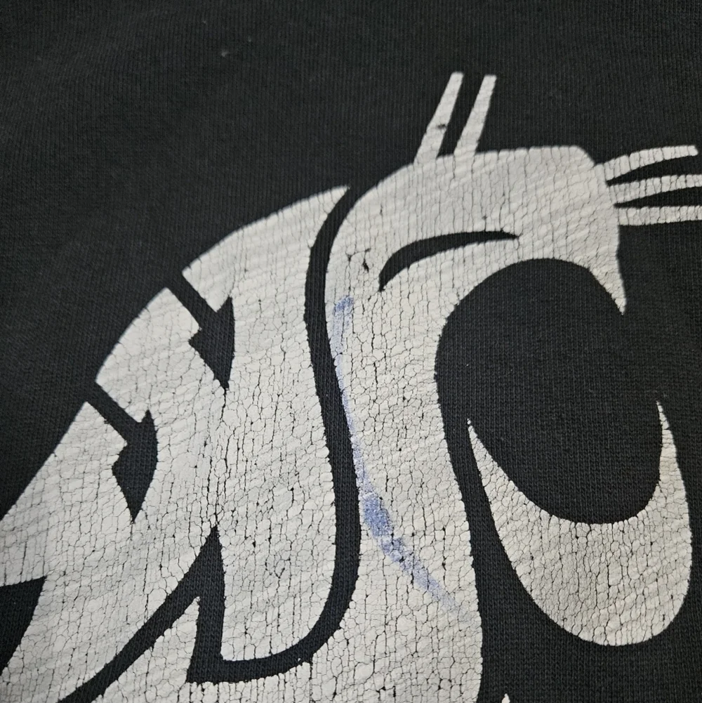 Kids Washington State Sweatshirt Hoodie